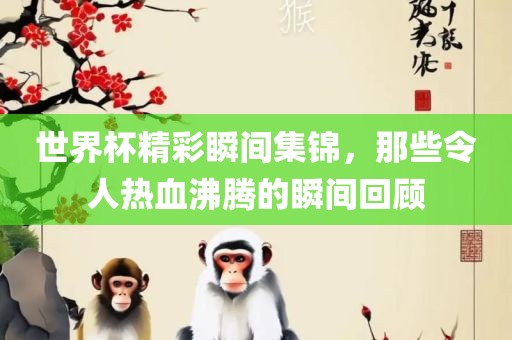 世界杯精彩瞬间集锦，那些令人热血沸腾的瞬间回顾眉山市正发家政服务有限公司