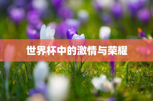 世界杯中的激情与荣耀眉山市正发家政服务有限公司