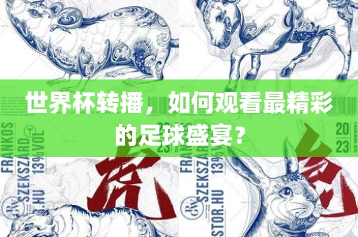 世界杯转播，如何观看最精彩的足球盛宴？