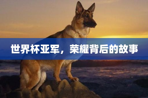 世界杯亚军，荣耀背后的故事