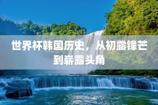 世界杯韩国历史，从初露锋芒到崭露头角
