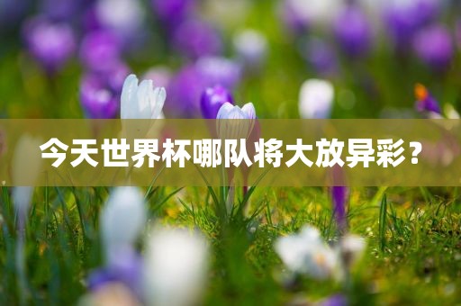 今天世界杯哪队将大放异彩？