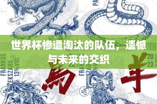 世界杯惨遭淘汰的队伍，遗憾与未来的交织