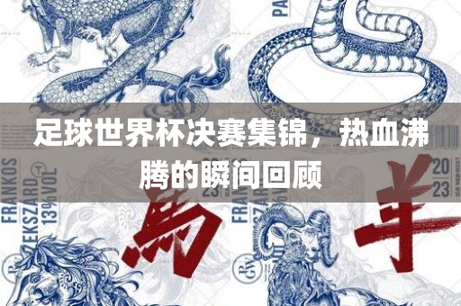 足球世界杯决赛集锦，热血沸腾的瞬间回顾