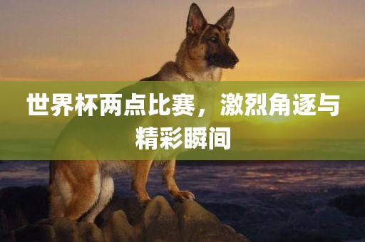 世界杯两点比赛，激烈角逐与精彩瞬间