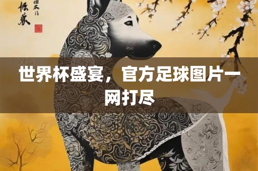 世界杯盛宴，官方足球图片一网打尽