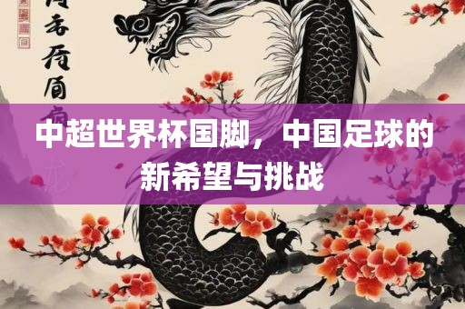 中超世界杯国脚，中国足球的新希望与挑战