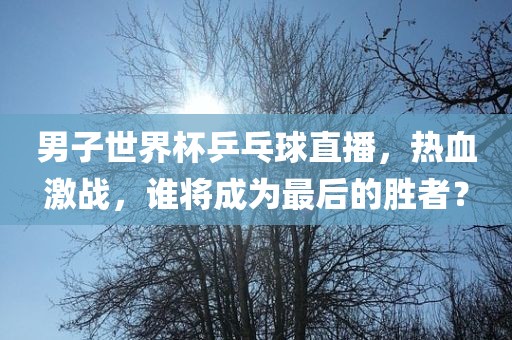 男子世界杯乒乓球直播，热血激战，谁将成为最后的胜者？