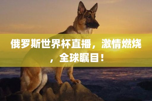 俄罗斯世界杯直播，激情燃烧，全球瞩目！