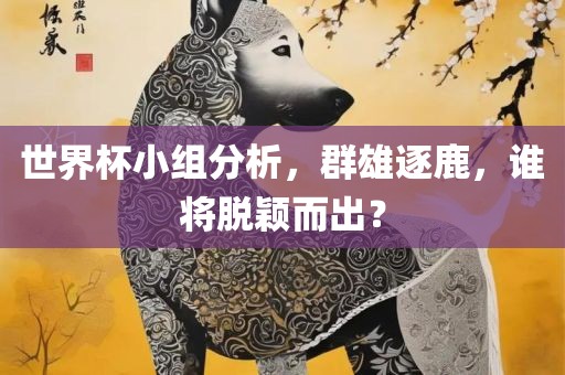 世界杯小组分析，群雄逐鹿，谁将脱颖而出？