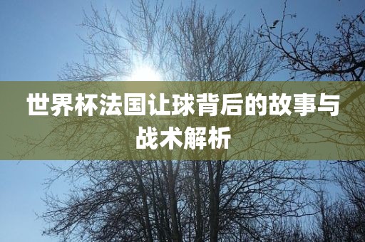 世界杯法国让球背后的故事与战术解析
