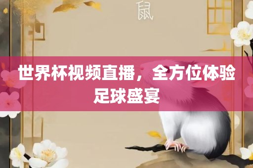 世界杯视频直播，全方位体验足球盛宴