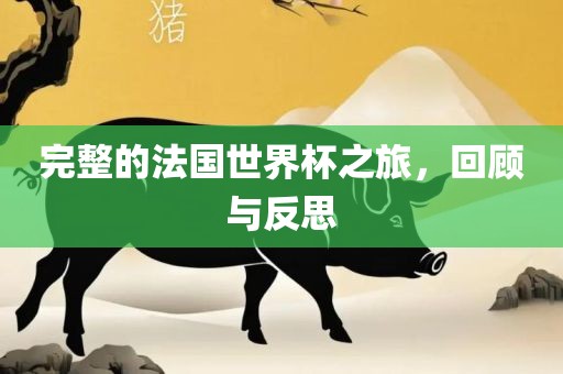 完整的法国世界杯之旅，回顾与反思