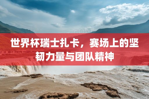 世界杯瑞士扎卡，赛场上的坚韧力量与团队精神