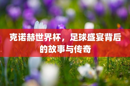 克诺赫世界杯，足球盛宴背后的故事与传奇