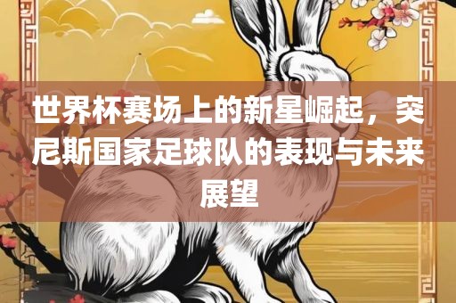 世界杯赛场上的新星崛起，突尼斯国家足球队的表现与未来展望