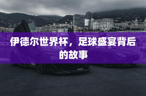 伊德尔世界杯，足球盛宴背后的故事