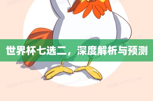 世界杯七选二，深度解析与预测