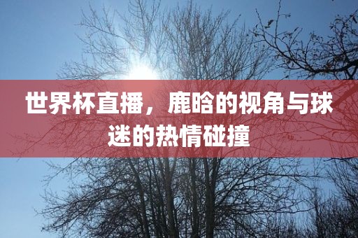 世界杯直播，鹿晗的视角与球迷的热情碰撞