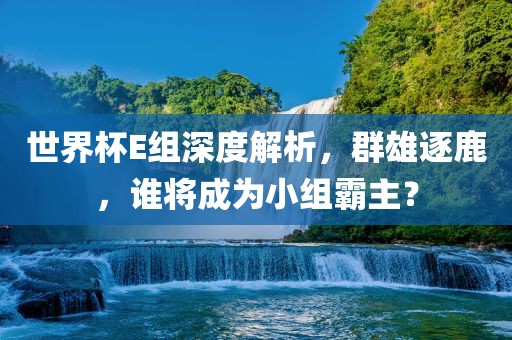 世界杯E组深度解析，群雄逐鹿，谁将成为小组霸主？