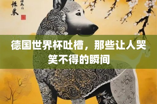 德国世界杯吐槽，那些让人哭笑不得的瞬间