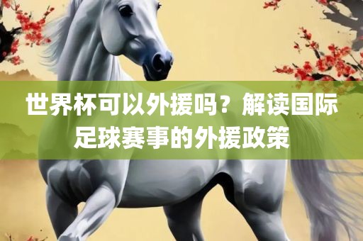 世界杯可以外援吗？解读国际足球赛事的外援政策
