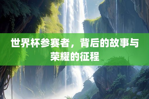 世界杯参赛者，背后的故事与荣耀的征程