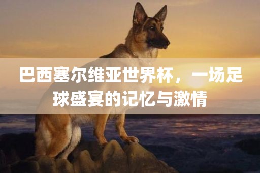 巴西塞尔维亚世界杯，一场足球盛宴的记忆与激情