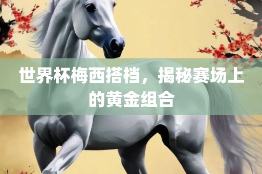 世界杯梅西搭档，揭秘赛场上的黄金组合