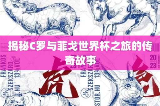 揭秘C罗与菲戈世界杯之旅的传奇故事