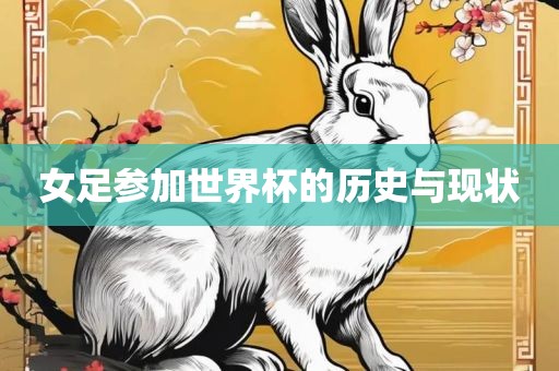 女足参加世界杯的历史与现状