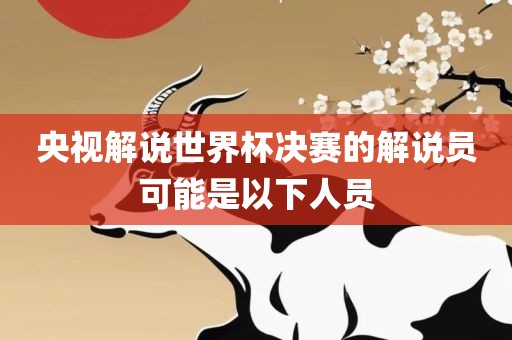 央视解说世界杯决赛的解说员可能是以下人员