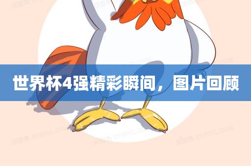 世界杯4强精彩瞬间，图片回顾