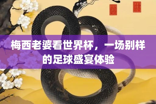 梅西老婆看世界杯，一场别样的足球盛宴体验