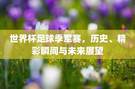 世界杯足球季军赛，历史、精彩瞬间与未来展望