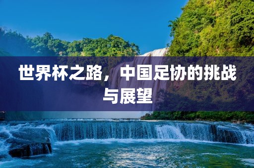 世界杯之路，中国足协的挑战与展望