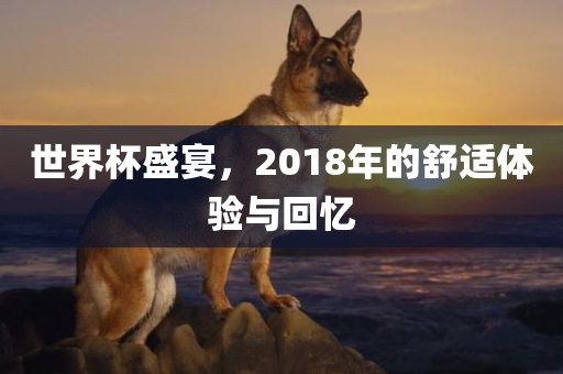 世界杯盛宴，2018年的舒适体验与回忆