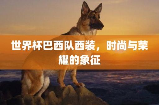 世界杯巴西队西装，时尚与荣耀的象征