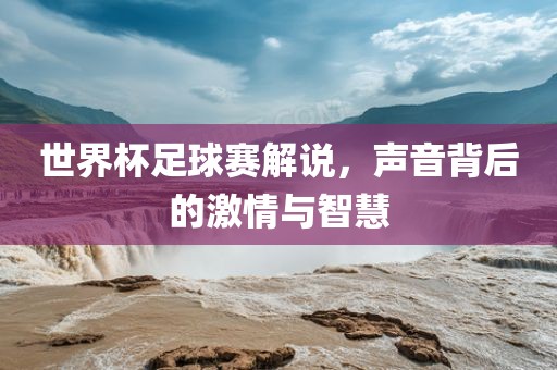 世界杯足球赛解说，声音背后的激情与智慧