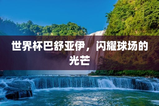 世界杯巴舒亚伊，闪耀球场的光芒