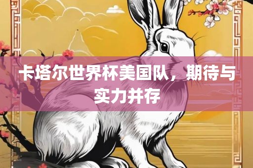 卡塔尔世界杯美国队，期待与实力并存