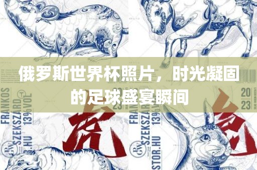 俄罗斯世界杯照片，时光凝固的足球盛宴瞬间