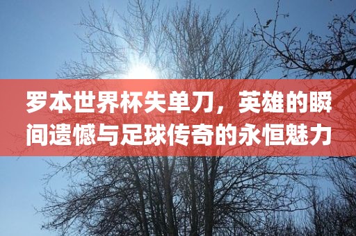 罗本世界杯失单刀，英雄的瞬间遗憾与足球传奇的永恒魅力