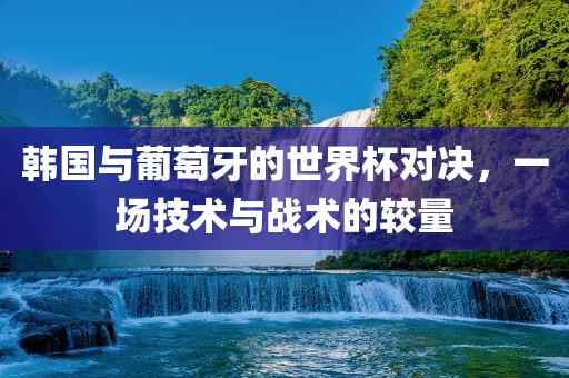 韩国与葡萄牙的世界杯对决，一场技术与战术的较量