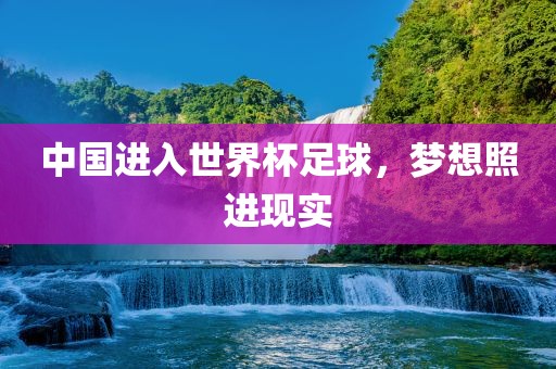 中国进入世界杯足球，梦想照进现实
