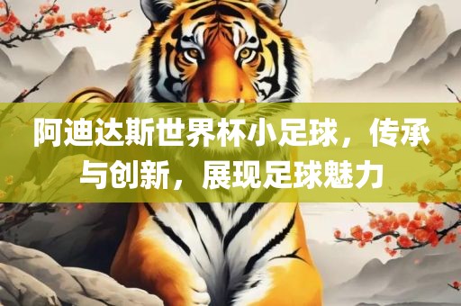 阿迪达斯世界杯小足球，传承与创新，展现足球魅力