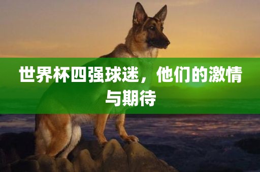 世界杯四强球迷，他们的激情与期待