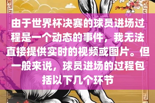 由于世界杯决赛的球员进场过程是一个动态的事件，我无法直接提供实时的视频或图片。但一般来说，球员进场的过程包括以下几个环节