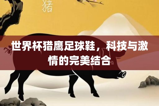 世界杯猎鹰足球鞋，科技与激情的完美结合