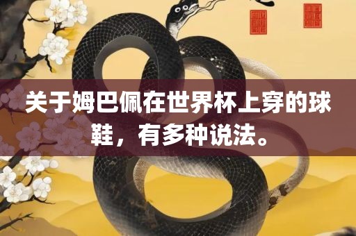 关于姆巴佩在世界杯上穿的球鞋，有多种说法。